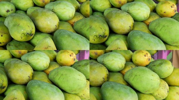 芒果养生膳食健康营养清淡食补食疗