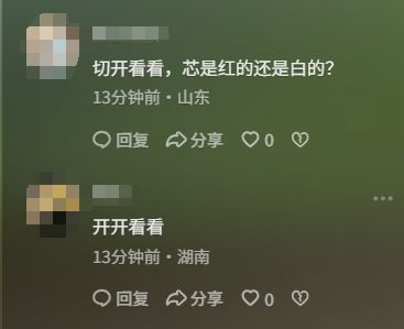 女子在瓜地发现“东西瓜” 网友：想知道里面是什么样子的