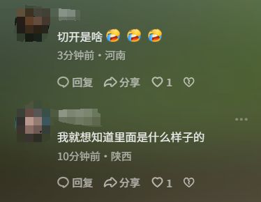 女子在瓜地发现“东西瓜” 网友：想知道里面是什么样子的