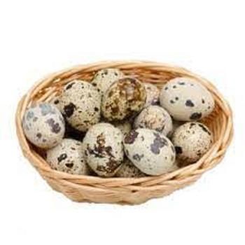 Wholesale Export Supplier Fresh White Hatching Quail Eggs 12 Months Shelf Life Netherlands Origin OEM Manufacturer Competitively