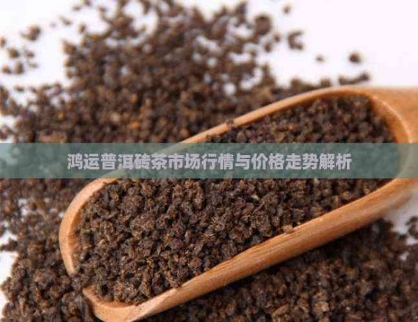 鸿运普洱砖茶市场行情与价格走势解析