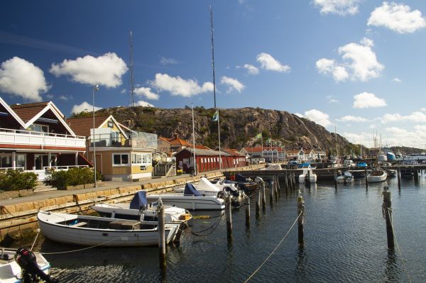 中医健康管理师证书权威认证，获取途径与价值解析