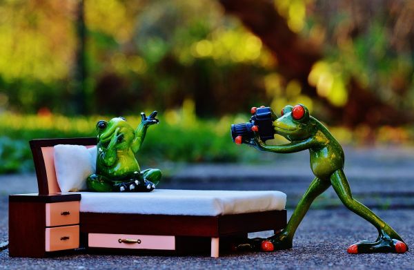 中医健康管理师证书权威认证，获取途径与价值解析