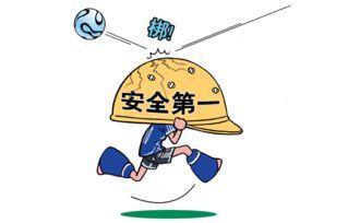 安全员主要是做什么的,安全员：守护生命与财产的守护者