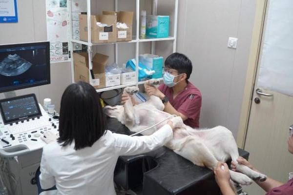 新瑞鵬斬獲兩項公益大獎 以專業(yè)踐初心 以責(zé)任暖人心 