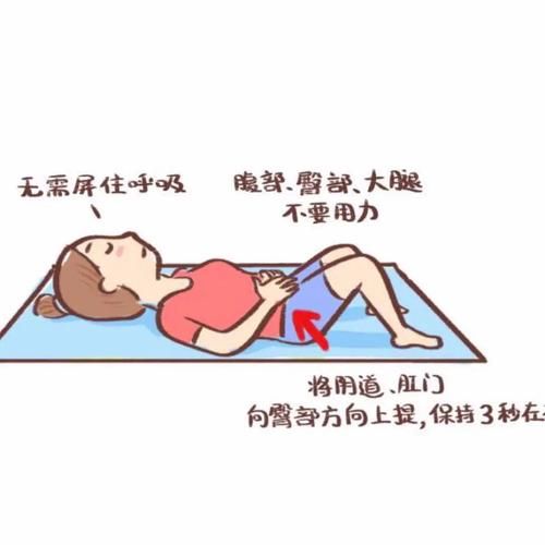 盆底肌发力总用错力?3个技巧精准收缩,见效快一倍!