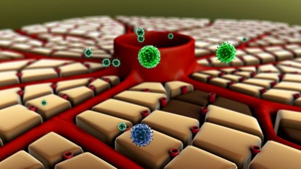 免疫力强的人，一般有4个共性，是不是免疫力越强越好？