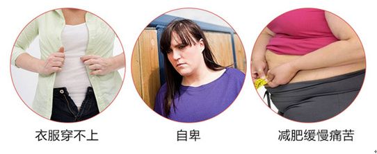 减肥产品辣么多 究竟哪款更健康? 0060lm7Tgw1f4eqcgj7ktj30f20660tv