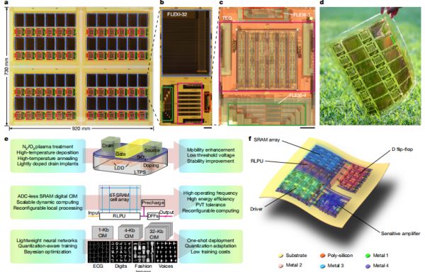 （來源：https://www.nature.com/articles/s41586-025-09931-x）