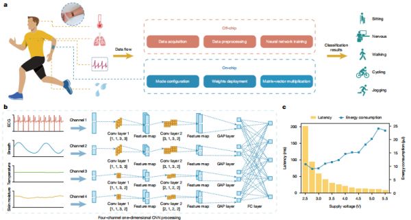 （來源：https://www.nature.com/articles/s41586-025-09931-x）