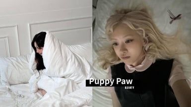 失眠變秒睡！「小狗睡姿 （Puppy Paws）」近期爆紅，不再失眠、輾轉難眠！