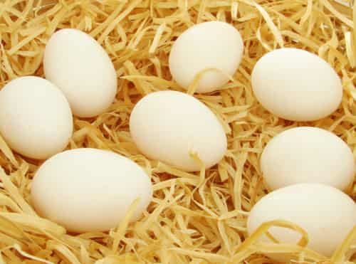 七日雞蛋減肥餐快速瘦身法，一周減掉10斤贅肉 減肥餐 第3張