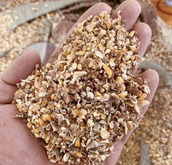 對(duì)比圖表信息圖：左側(cè)為“錯(cuò)誤喝法”（加糖紅棗豆?jié){、空腹飲用、濕熱體質(zhì)堅(jiān)持喝），右側(cè)為“科學(xué)喝法”（無(wú)糖、餐后、體質(zhì)適配），中間用綠色對(duì)勾與紅色叉號(hào)圖標(biāo)清晰區(qū)分