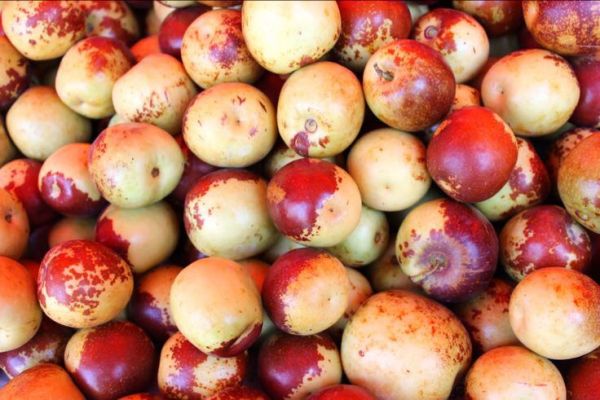 紅棗豆?jié){成品特寫：玻璃杯中盛放淺琥珀色豆?jié){，表面浮有細(xì)微棗皮碎屑與微小氣泡，杯壁凝結(jié)細(xì)密水珠，背景為木質(zhì)餐桌與散落的寧夏中寧圓棗和帶莢新鮮黃豆