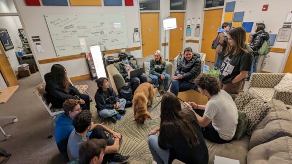 poppy the dog in SWC living room