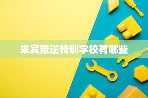 来宾叛逆特训学校有哪些