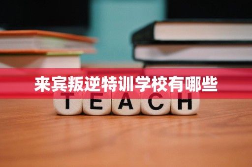 来宾叛逆特训学校有哪些
