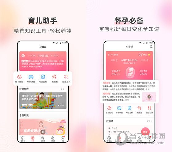 柚宝宝孕育电脑版下载