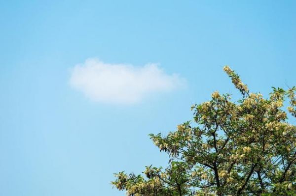 3月份這些新規(guī)將影響你我生活 涉及多領域變化