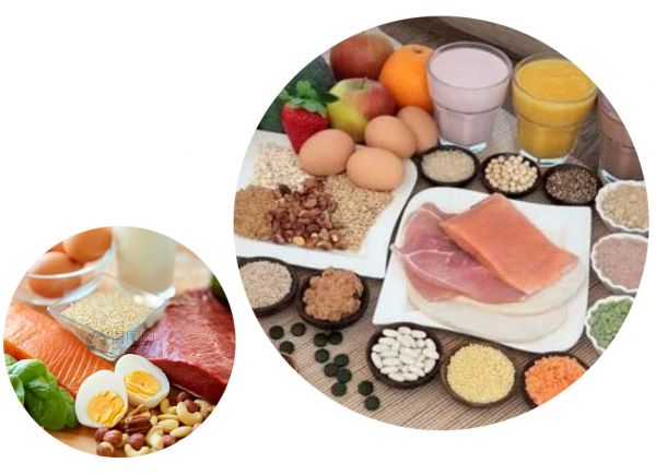 营养课堂 | 基础营养有哪些，您知道吗？