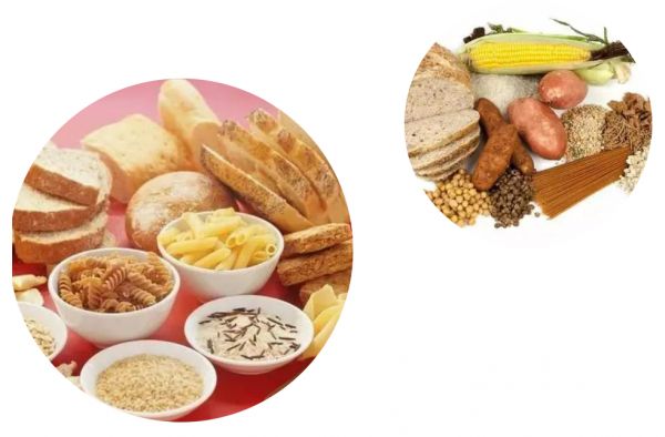 营养课堂 | 基础营养有哪些，您知道吗？