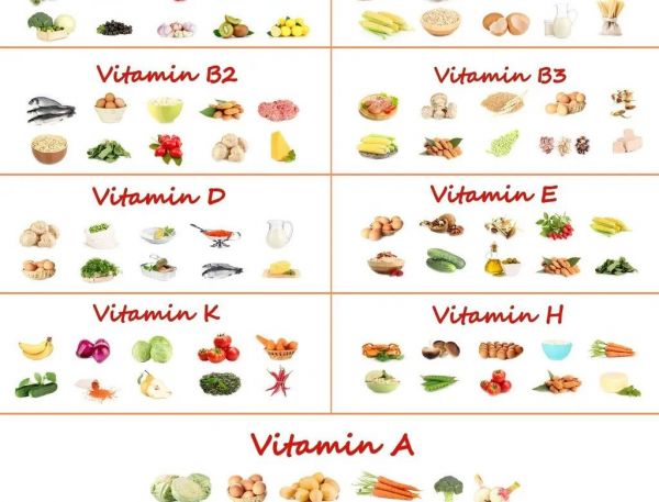 营养课堂 | 基础营养有哪些，您知道吗？