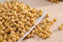 优质有机黄豆哪个牌子好 十大排行榜有哪些