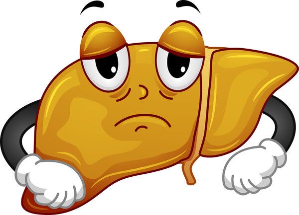 能吃肥肉会得肝癌吗