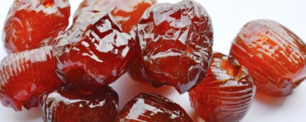 能延年益寿的食物 吃什么能延年益寿