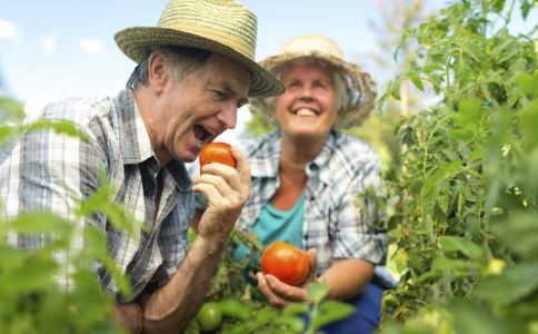 適合老人的健身運動 老人運動健身注意事項 哪些運動適合老人