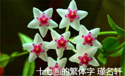 17畫的繁體字 中國起名實用大全