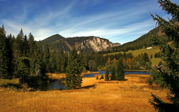 女人腰膝酸软的原因以及治疗方法