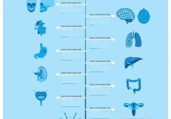 帮你算一算 生个二胎要花多少钱