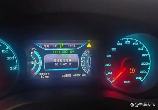 新能源电池性能报告怎么查？揭秘四招：动力电池充电次数怎么查询？-有驾