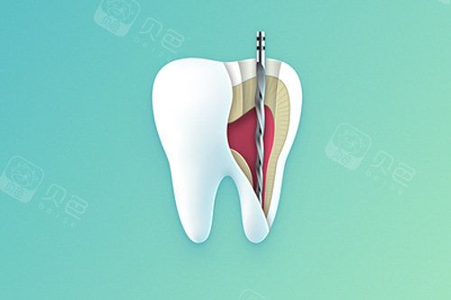 牙齿内部示意图