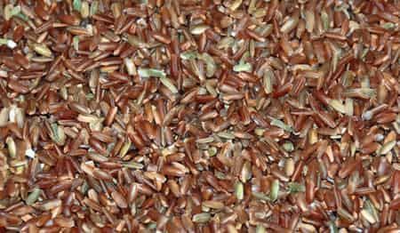 減肥專家7日瘦身餐，不吃藥健康減肥方法甩掉8斤肉 飲食減肥 第5張