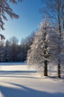 健康生活新风尚！《养生保健菜》带你吃出好身体，轻松养生不是梦