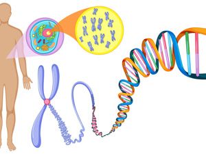 二十七八八岁脱发正常吗