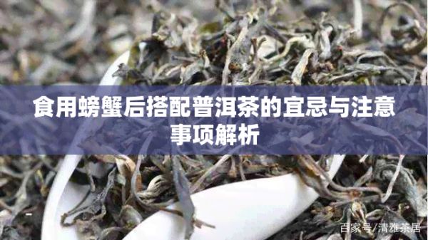 食用螃蟹后搭配普洱茶的宜忌與注意事項(xiàng)解析