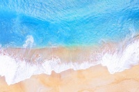 【社会大美育】6月热门课程来啦