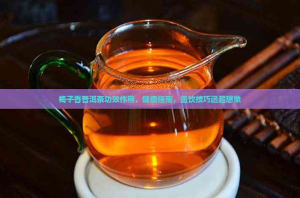 梅子香普洱茶功效作用
