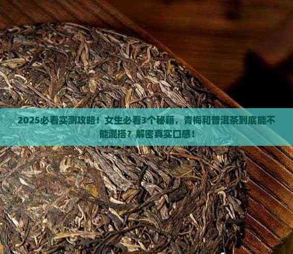 青梅能喝普洱茶么