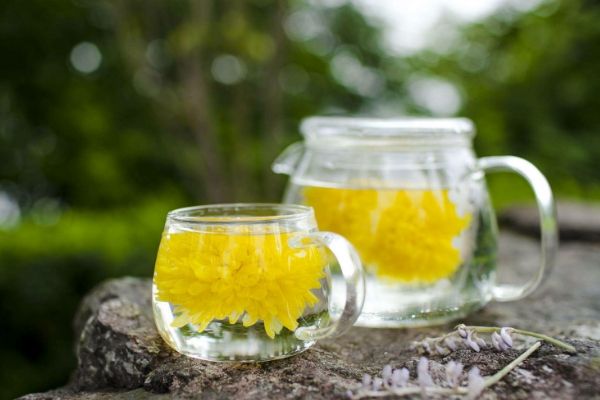 長(zhǎng)期喝菊花茶的好處，菊花泡水有四大功效