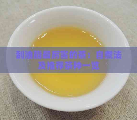 刮油脂最厲害的茶：自煮法及推薦茶種一覽