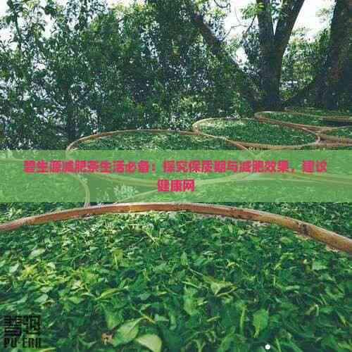 碧生源減肥茶生活必備：探究保質(zhì)期與減肥效果，建議健康網(wǎng)