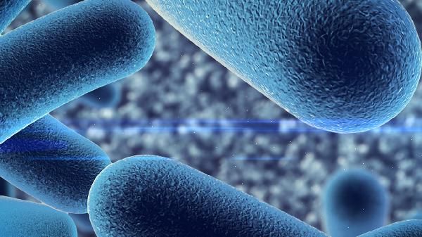 益生菌沒有放冰箱還可以吃嗎