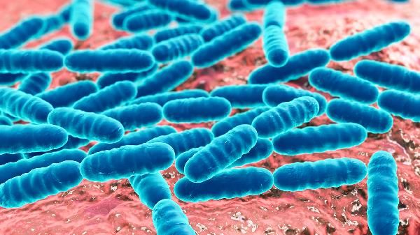 益生菌沒有放冰箱還可以吃嗎