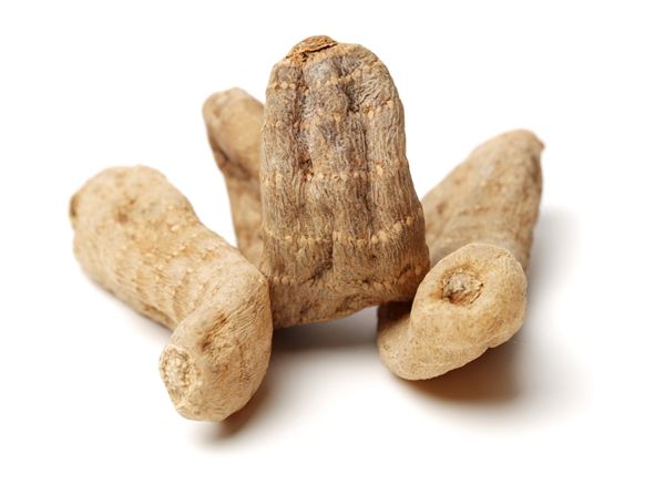 天麻鉤藤飲有什么成分