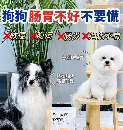 狗误食处方粮后的处理方法？