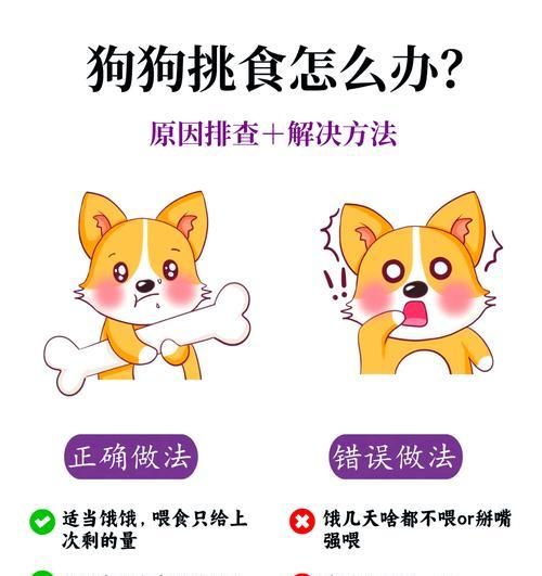 狗误食处方粮后的处理方法？